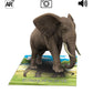 Live 3D Flash Cards For Kids