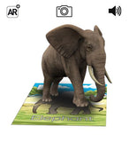 Live 3D Flash Cards For Kids