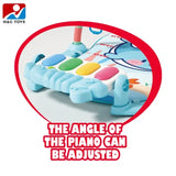 Funny Play Musical Piano Fitness Rack