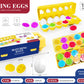 Matching Eggs – Cognitive Shape & Color Pairing Toy